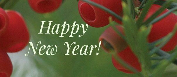 New Year – January 2017