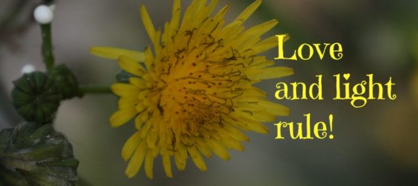 August 2016 – Self-love