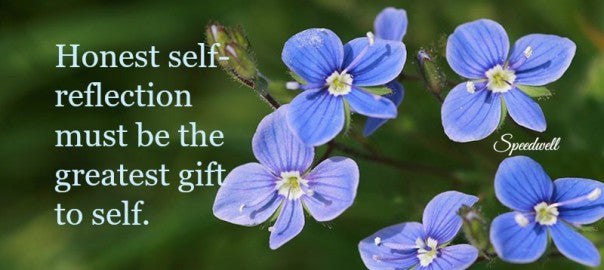 Insight – January 2015