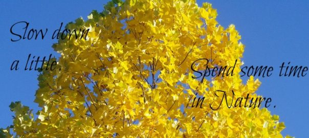 October 2016 – Clearing