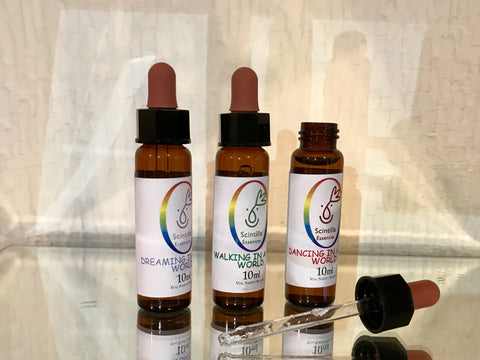 Scintilla New World - 4 - Dreaming, Walking and Dancing in a New World