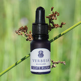 Verbeia Moorland Essences set.