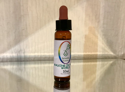 Scintilla New World - 2 - Walking in a New World