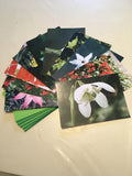 Winter Cards Collection - also supporting Ilkley Manor House